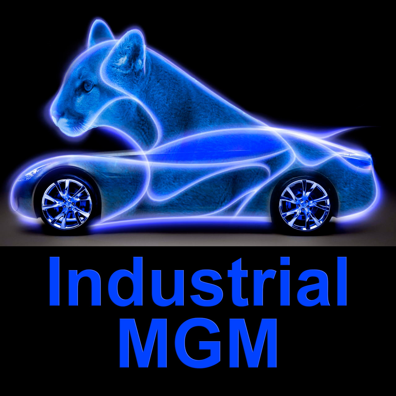 Industrial MGM
